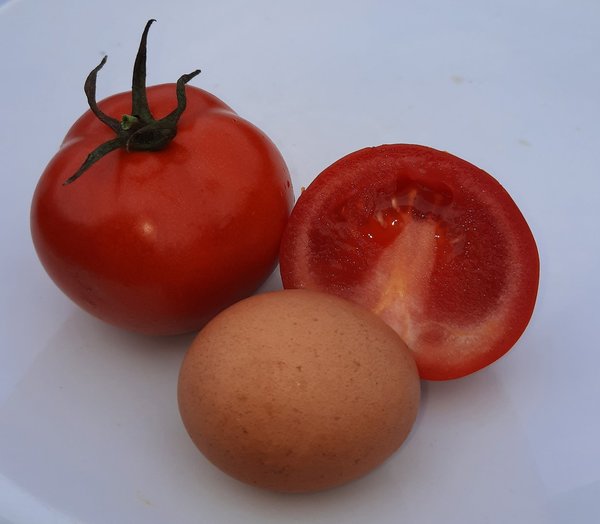Tomate Hilmar - Normalfrucht