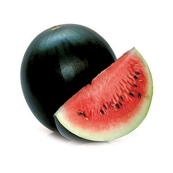 Wassermelone Crispeed F1 - Jungpflanze