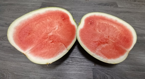 Wassermelone 'Patanegra' - veredelt