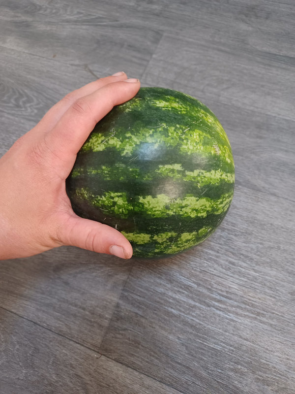 Wassermelone 'Tigrimini' - veredelt