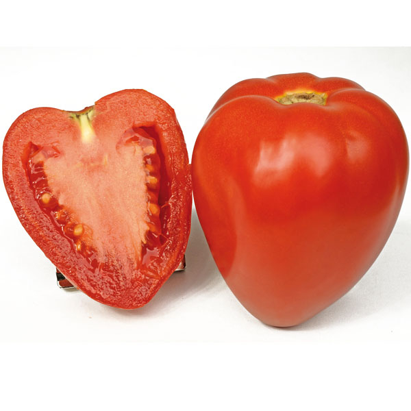 Tomate 'Fleurette F1' - die Geschmackvolle - Ochsenherz