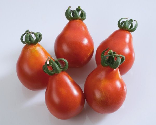Tomate 'Red Pear' - Birnentomate