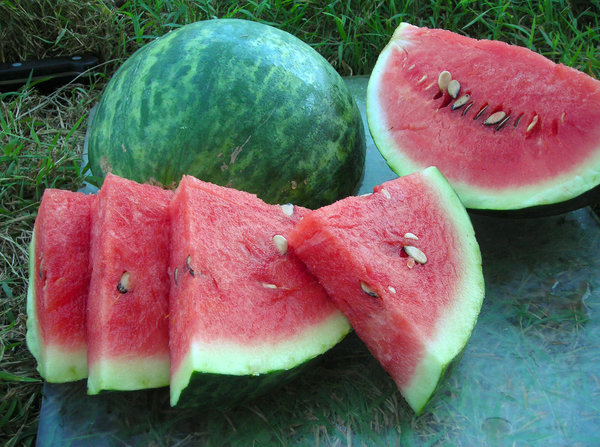 Wassermelone "Wilson's Sweet"